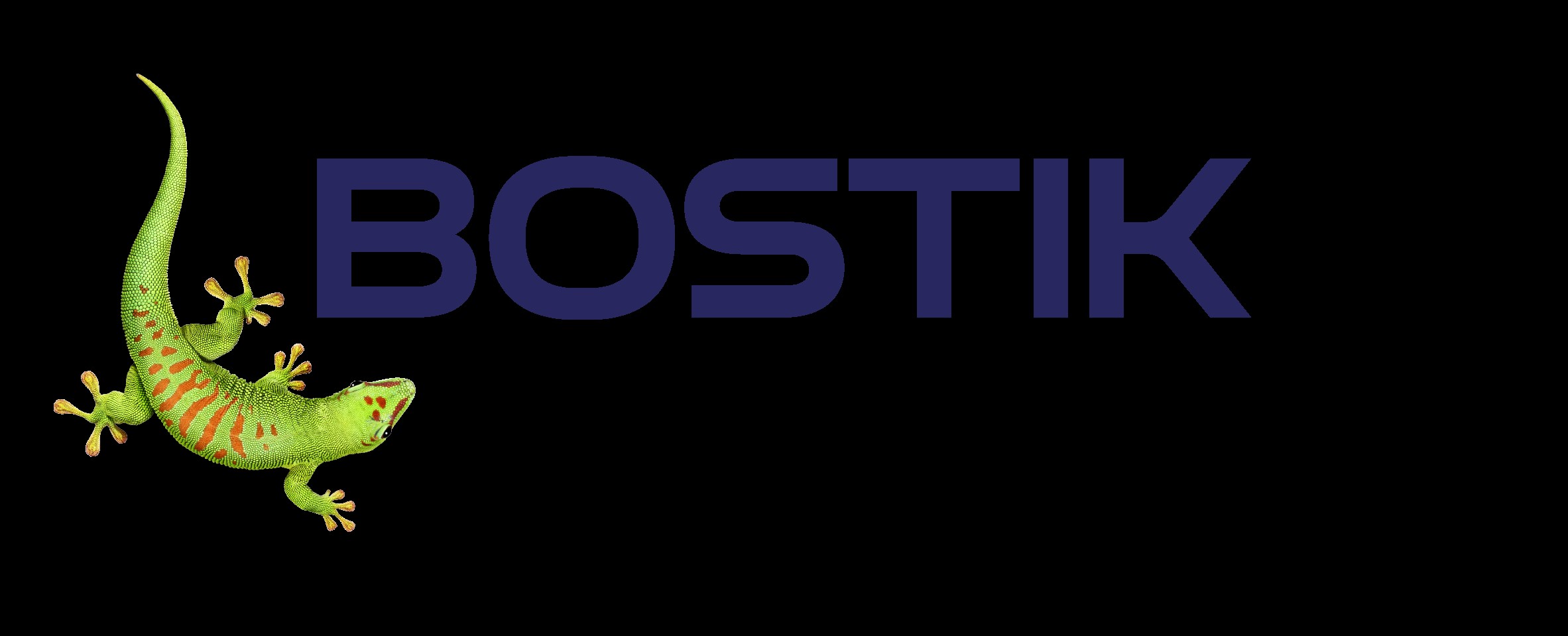Logo BOSTIK